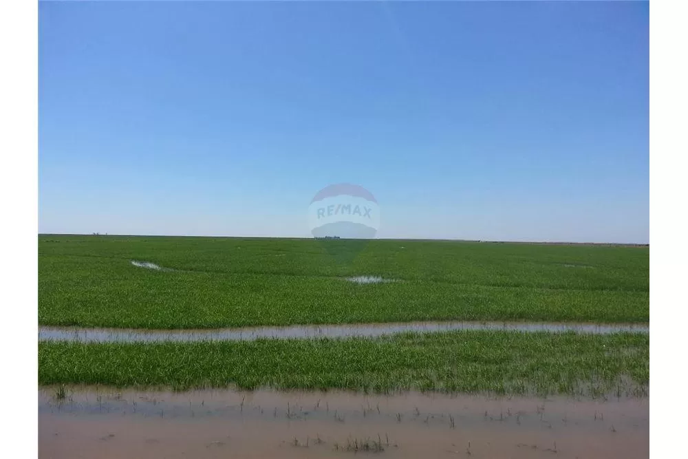VENDO ESTANCIA FORMADA EN MISIONES 2.299 HAS — foto 2