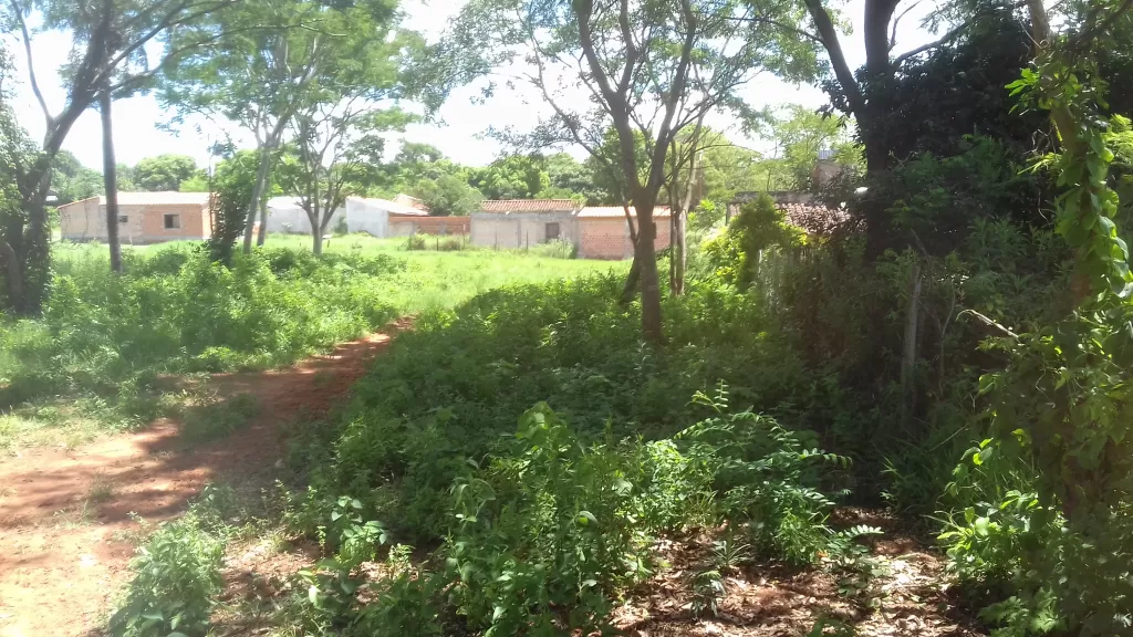 Terreno en Ñemby (Salinas) — foto 2