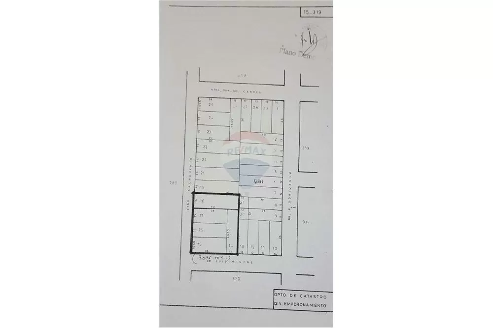 VENDO AMPLIO TERRENO EN SANTISIMA TRINIDAD 3075m2 — foto 2