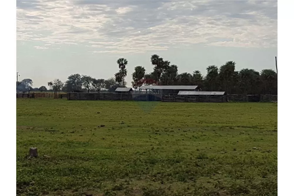 Propiedad Agropecuaria sobre Ruta 12 — foto 2