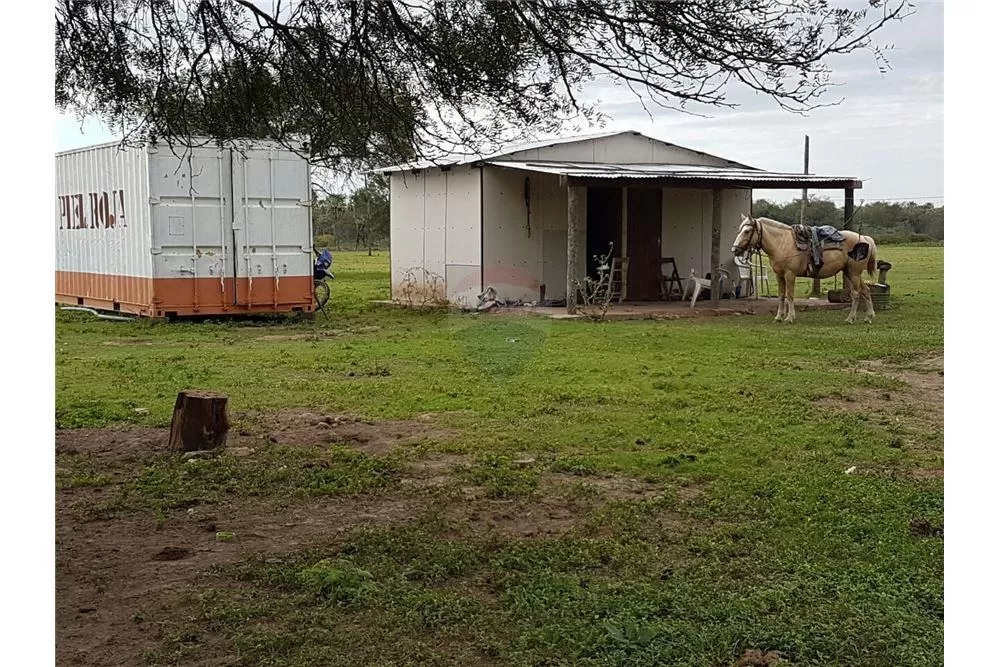 Propiedad Agropecuaria sobre Ruta 12 — foto 3