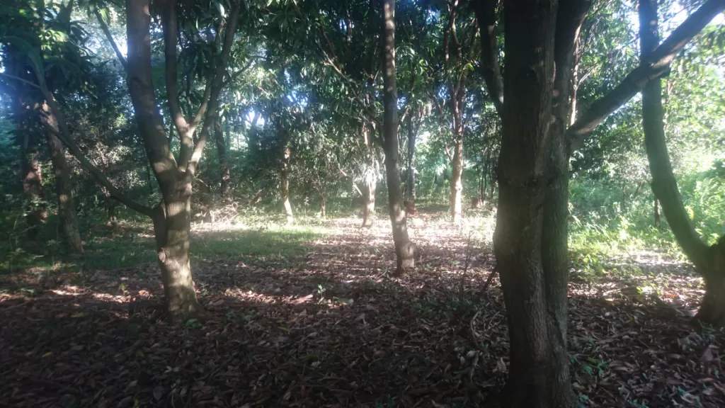 Hermosa Propiedad en Itá — foto 2