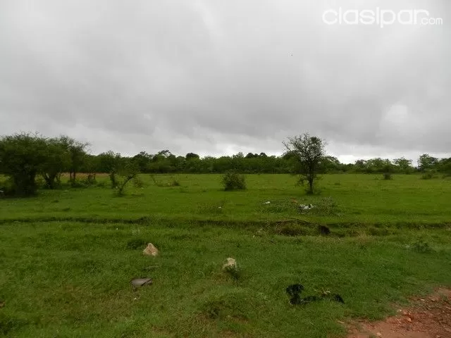 Terreno en Limpio — foto 2