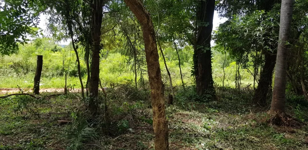 Vendo terreno en Ñemby Cañadita — foto 2