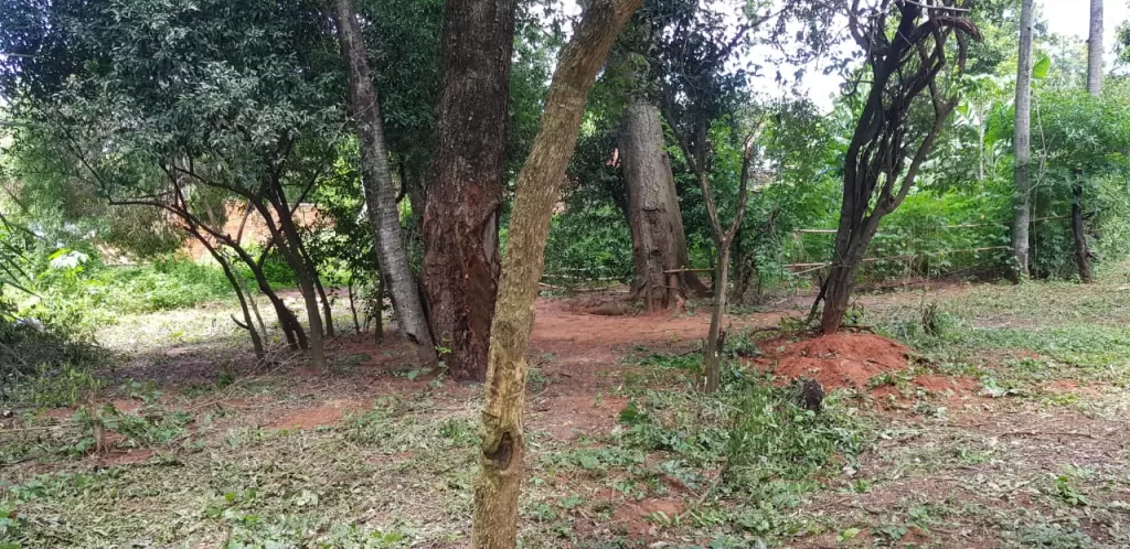 Vendo terreno en Ñemby Cañadita — foto 3