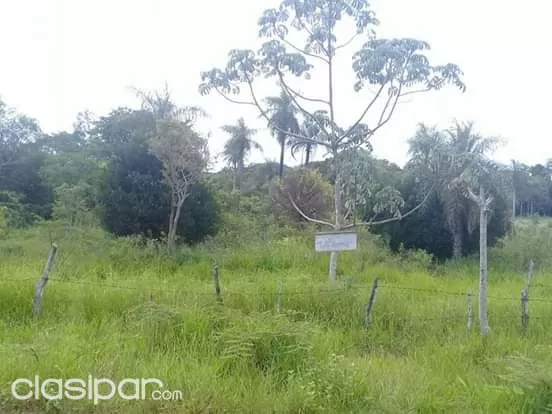 VENDO TERRENO — foto 3
