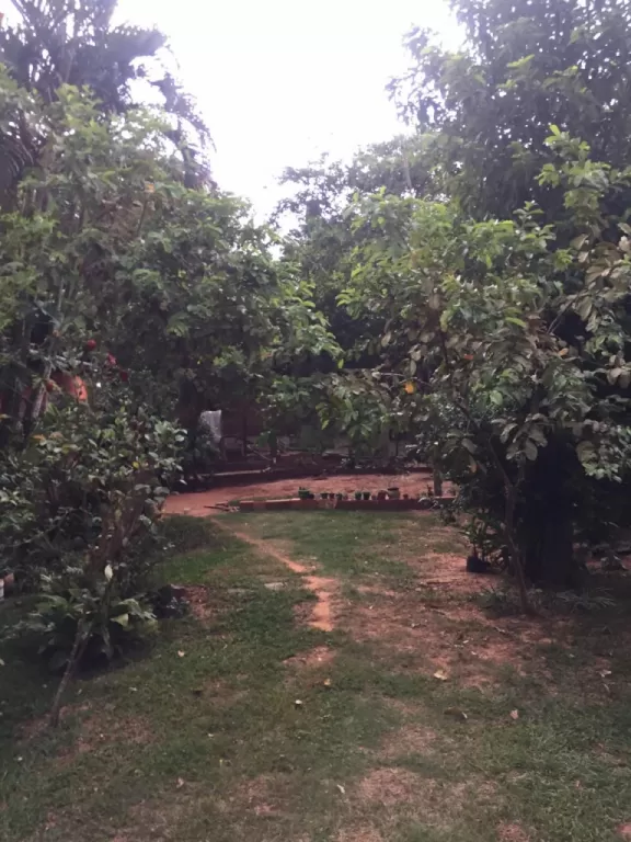 VENDO HERMOSA CASA EN CNEL. OVIEDO — foto 2