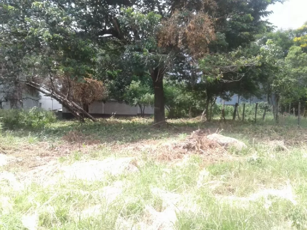 TERRENO EN VENTA — foto 2