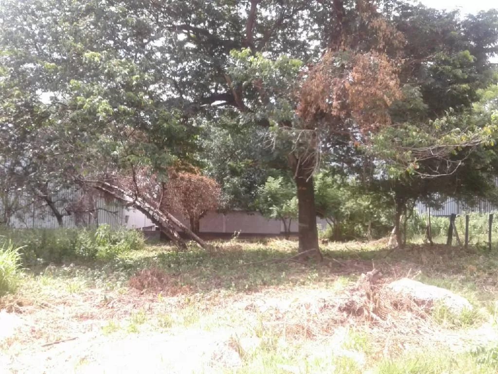 TERRENO EN VENTA — foto 3