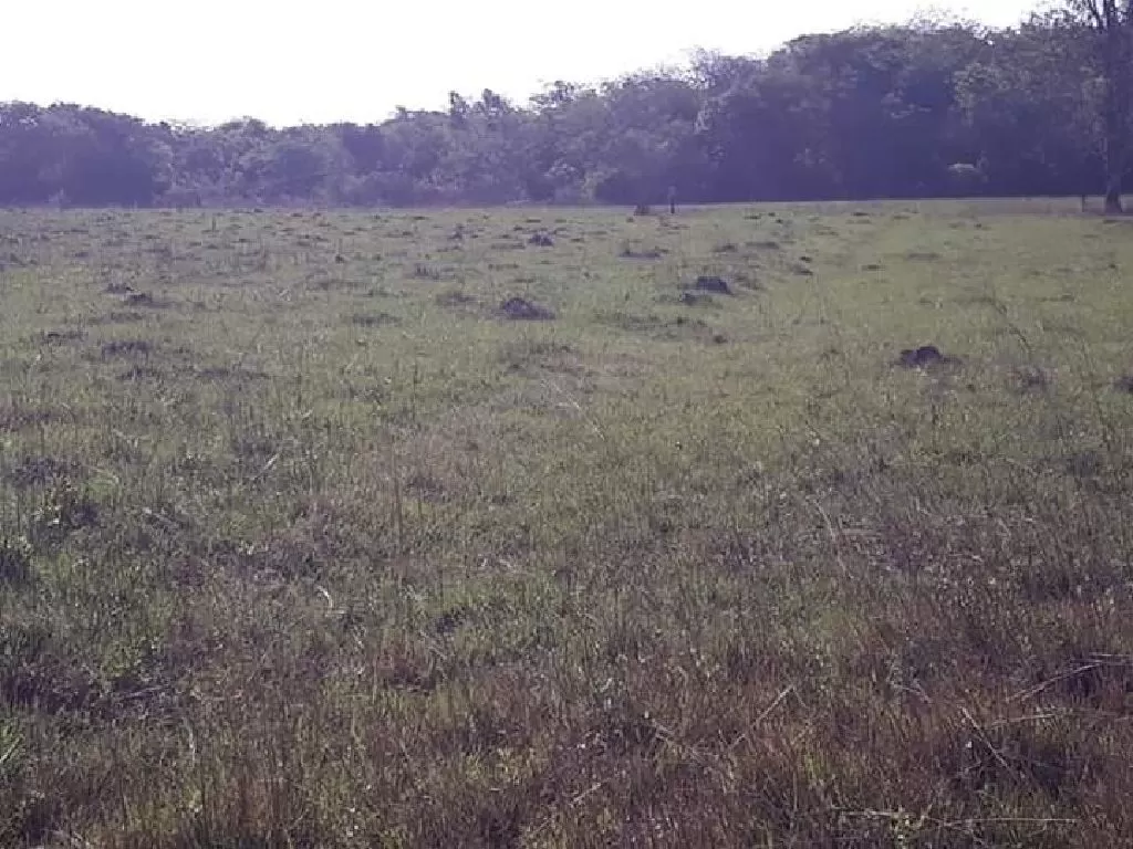 Remato Terreno — foto 3