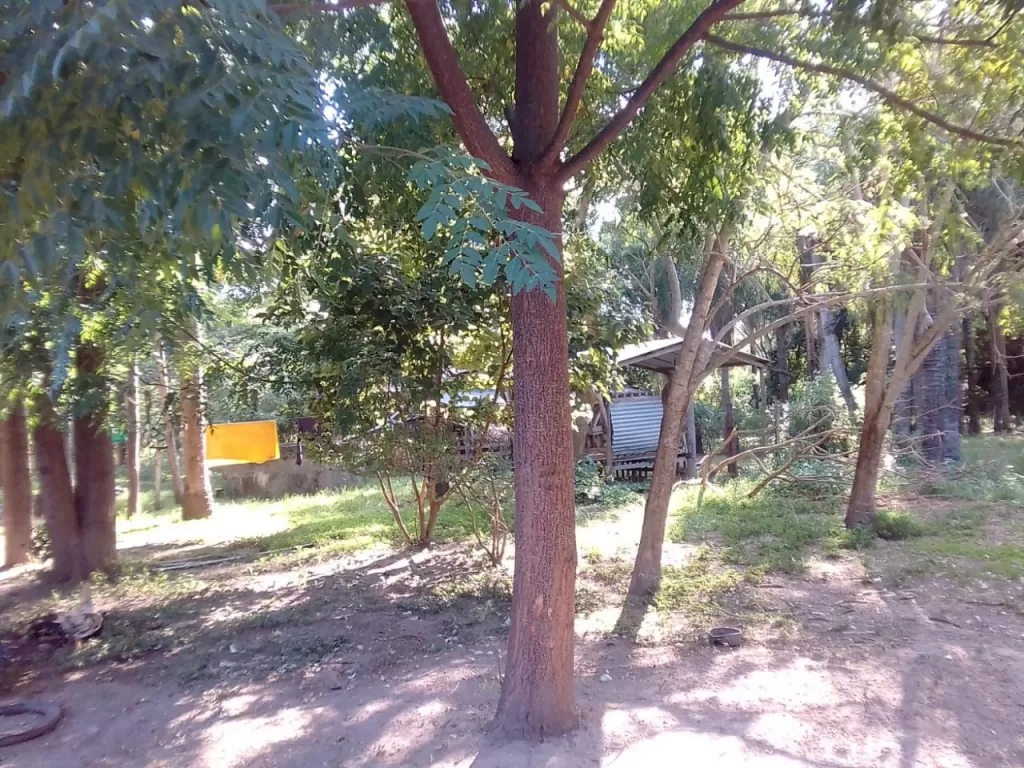 PROX. A PUENTE ASUNCIÓN – CHACOÍ: ÚNICAS! 20 HAS – MARAVILLOSA UBICACIÓN — foto 2