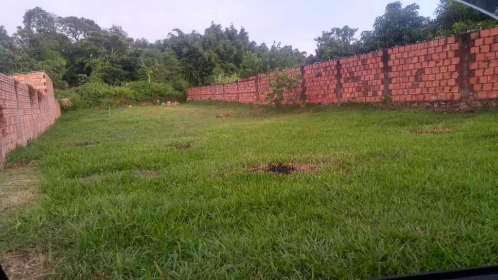Vendo Terreno en Capiata centro — foto 2