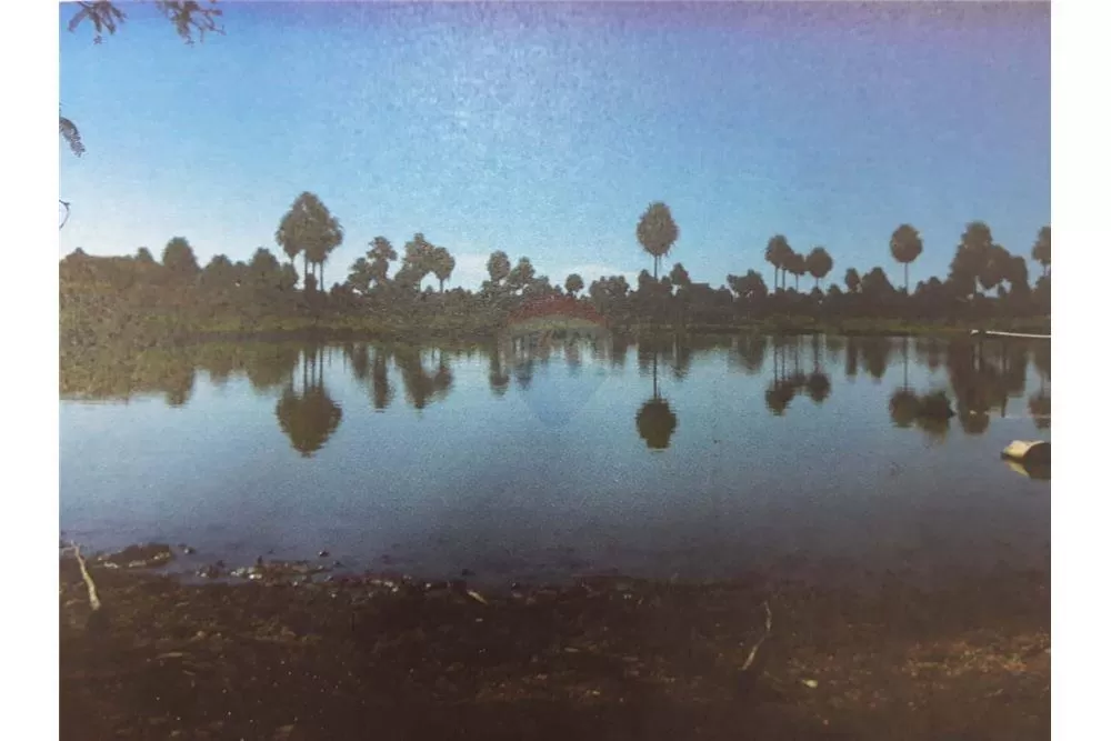 Vendo Estancia Formada,Chaco Py, 1.201 Has. — foto 3