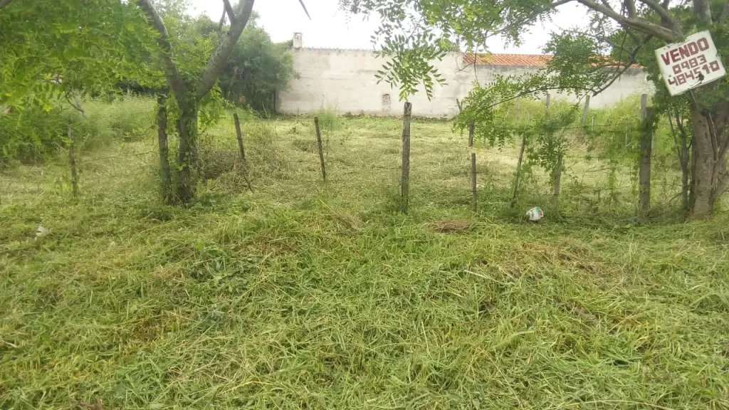TERRENO SHOPPING PLAZA NORTE LIMPIO — foto 3