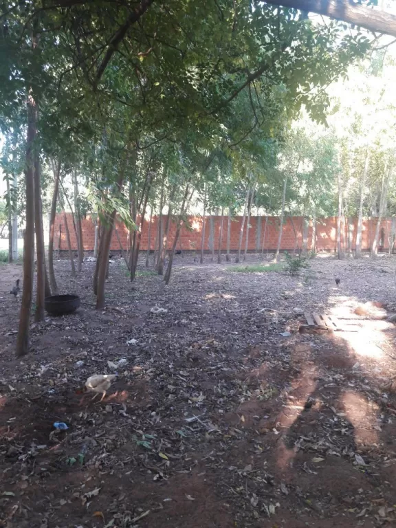 Terrenos arbolados — foto 3