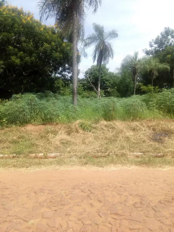 Pindolo Aregua, vendo sobre empedrado a 50 metros del centro de salud — foto 2