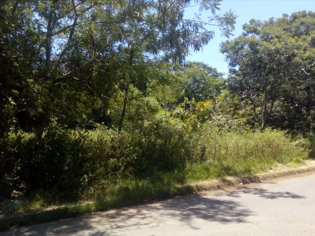 Vendo súper terreno en Limpio — foto 2