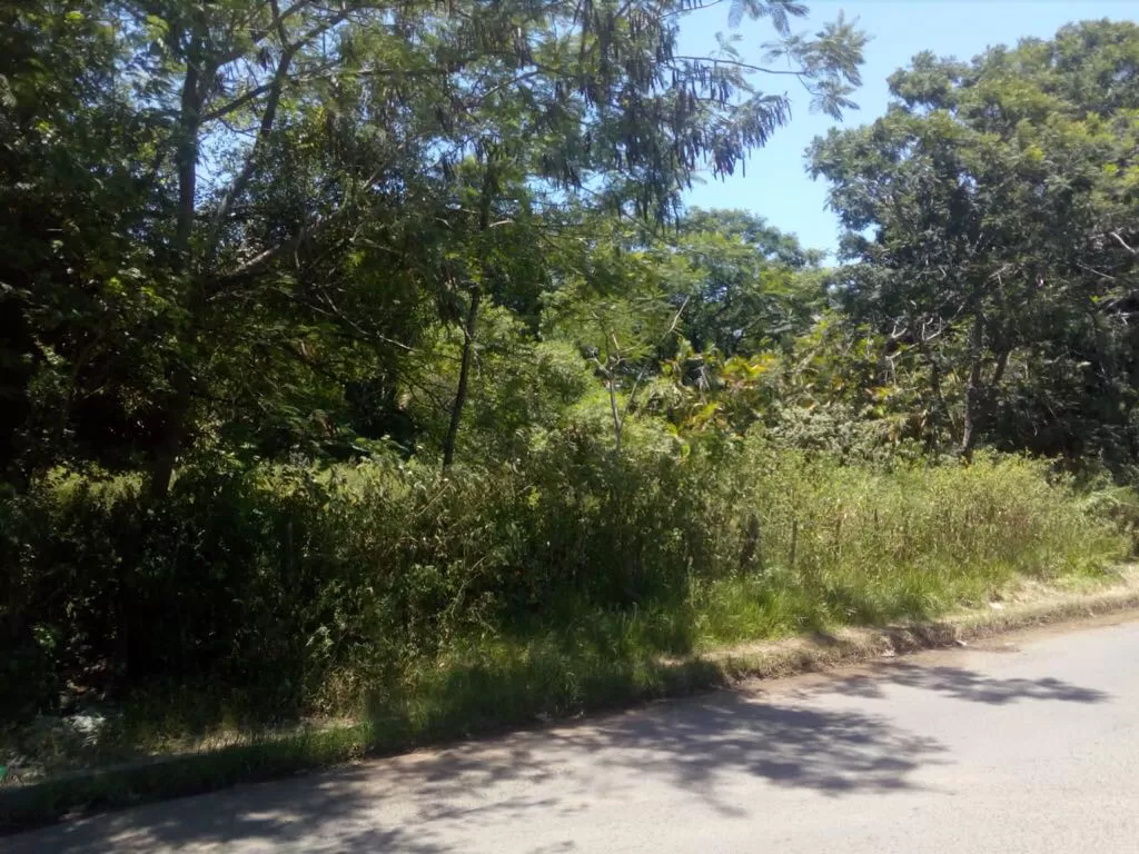 Vendo súper terreno en Limpio — foto 3