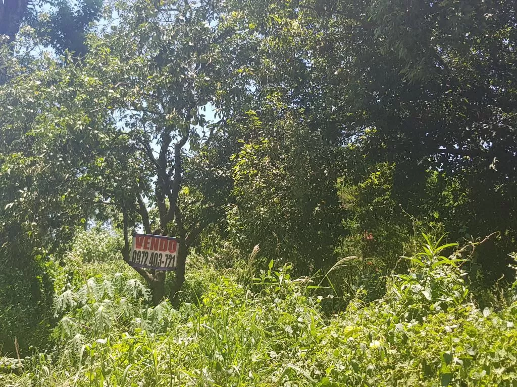 VENDO TERRENO EN LUQUE - PRIMAVERA — foto 3