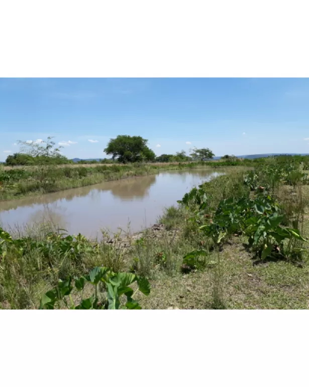 Vendo casa con más de 3 ha de superficie — foto 2