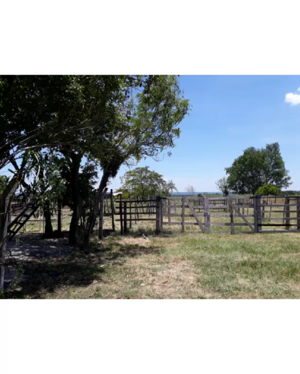 Vendo casa con más de 3 ha de superficie — foto 3