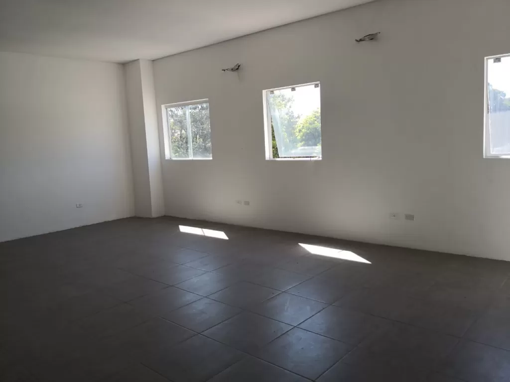 ARTIGAS COSTANERA: IDEAL P EMPRESAS, SHOWROOM, OFICINAS, DEPOSITO, PARKING — foto 3