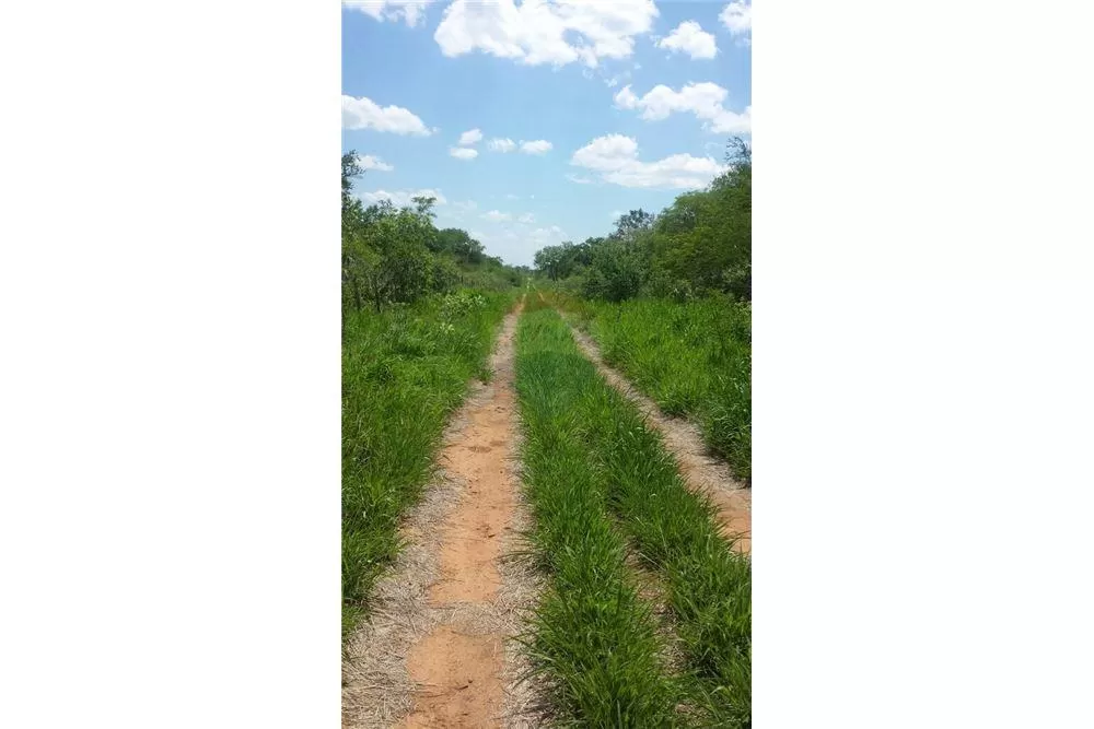 4.000 Hectareas Campo Chaco — foto 3