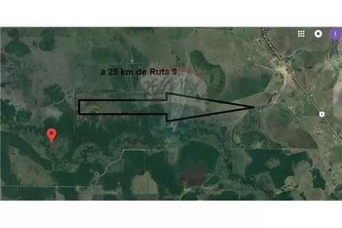 VENDO 490 Hás!! Km 100 de Ruta Transchaco — foto 3
