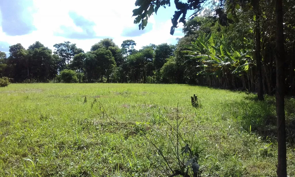 VENDO TERRENO — foto 2