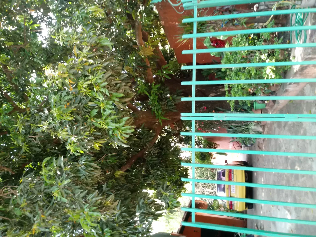 Vendo casa Familiar — foto 2