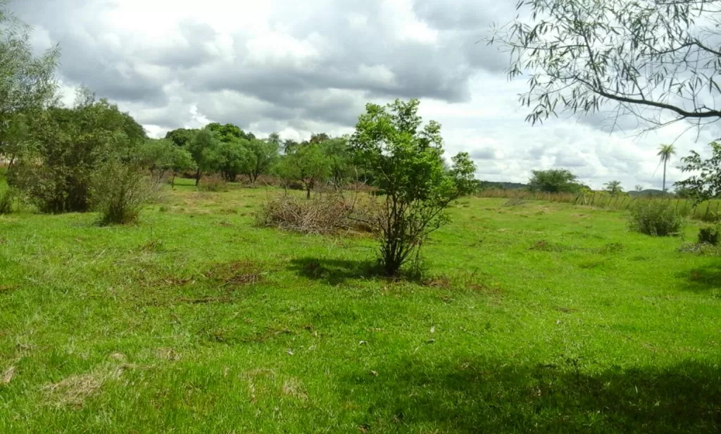 VENDO PROPIEDAD SOBRE RUTA RAMAL CARAPEGUA - ACAHAY — foto 3
