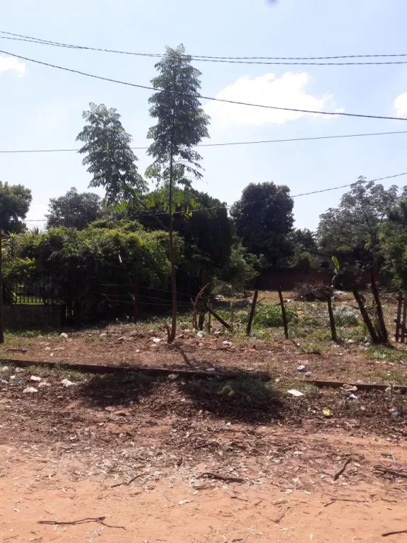 VENDO TERRENO EN PALMA LOMA!!! — foto 2