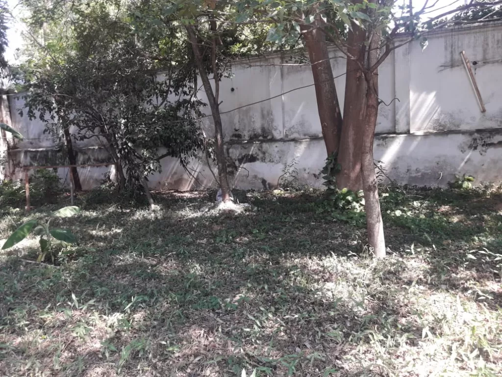 Vendo Terreno de 776 mt2 sobre Gral Santos — foto 3