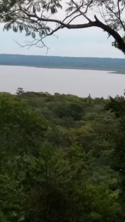 SAN BER CON VISTA AL LAGO 12,5 HAS. PROPIETARIO REMATA — foto 2