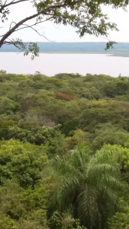 SAN BER CON VISTA AL LAGO 12,5 HAS. PROPIETARIO REMATA — foto 3