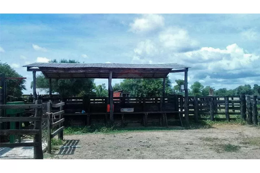 VENDO CAMPO EN DISTRICTO MANUEL IRALA FERNANDEZ Presidente Hayes Pozo Colorado — foto 3