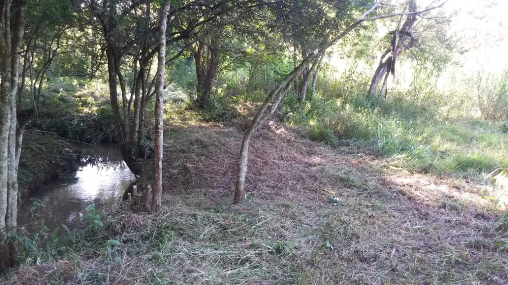 VENDO 10.000 mts2, EN PDTE. FRANCO — foto 2