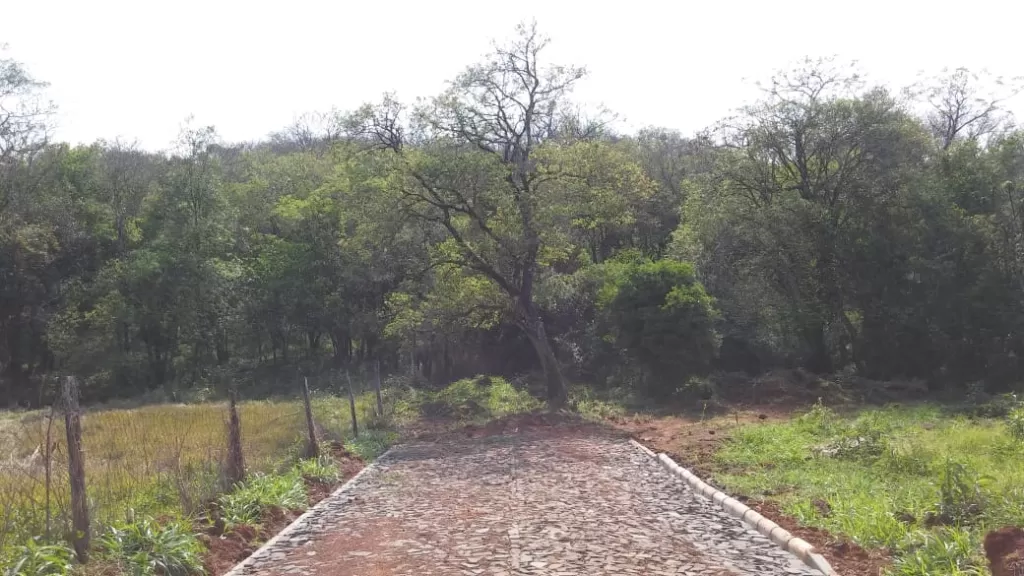 VENDO 10.000 mts2, EN PDTE. FRANCO — foto 3