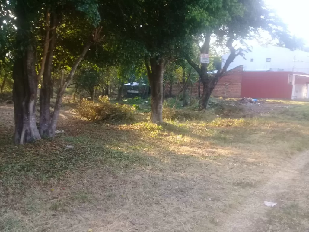 Vendo 3 terrenos juntos en San Bernardino — foto 2