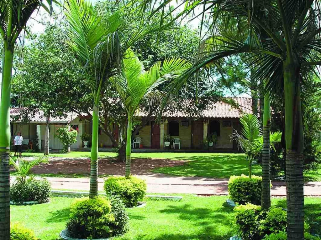 SAN MIGUEL - MISIONES: OFERTA! -300 HAS IDEAL P ESTANCIA Y TURISMO — foto 3