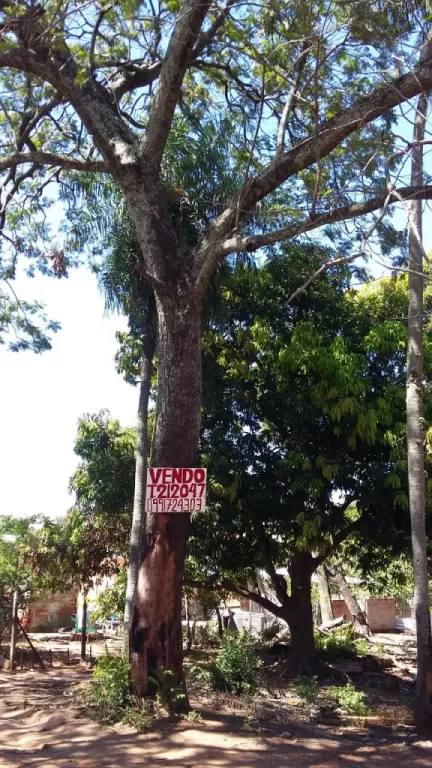 VENDO TERRENO EN ROQUE ALONSO — foto 2