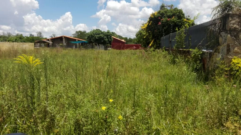 Vendo terreno en San Ber en el “El Cortijo Country Club” — foto 2