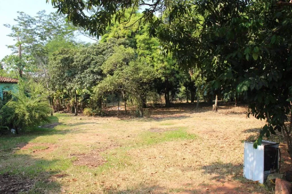 Vendo Dos hectareas Luque- San Bernadino — foto 2