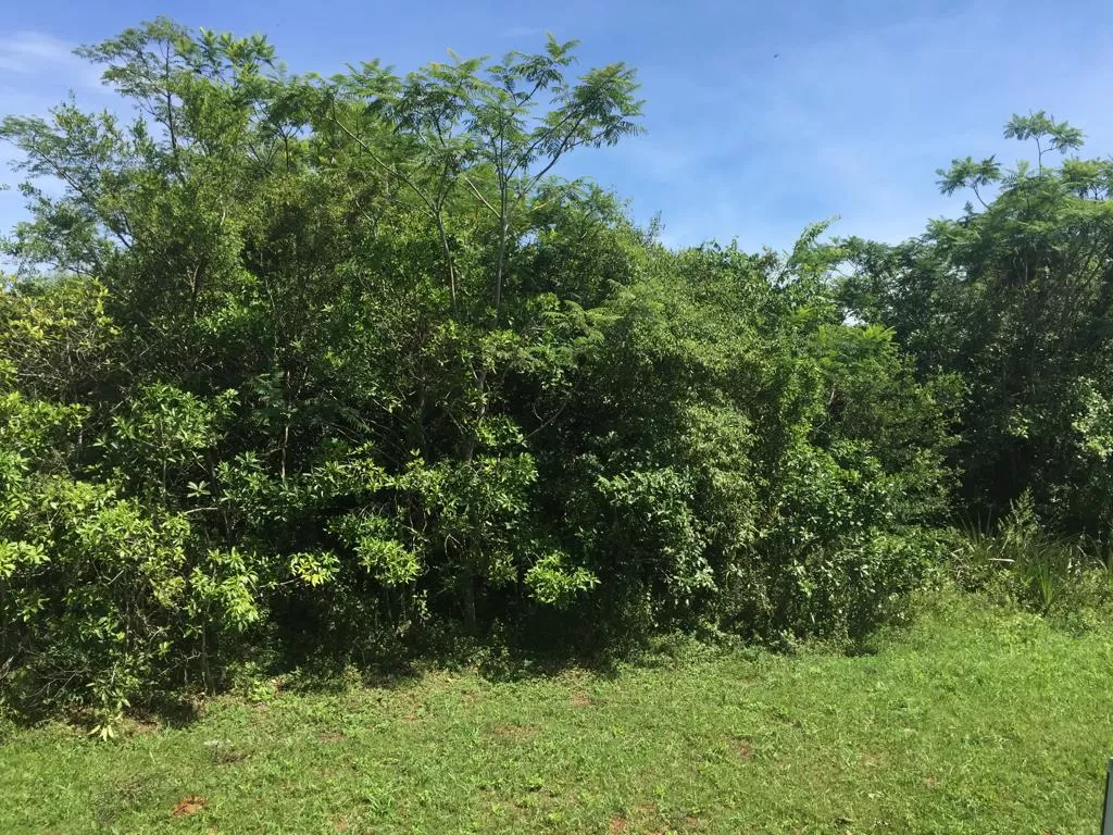 En La ciudad de Altos vendo terreno — foto 2