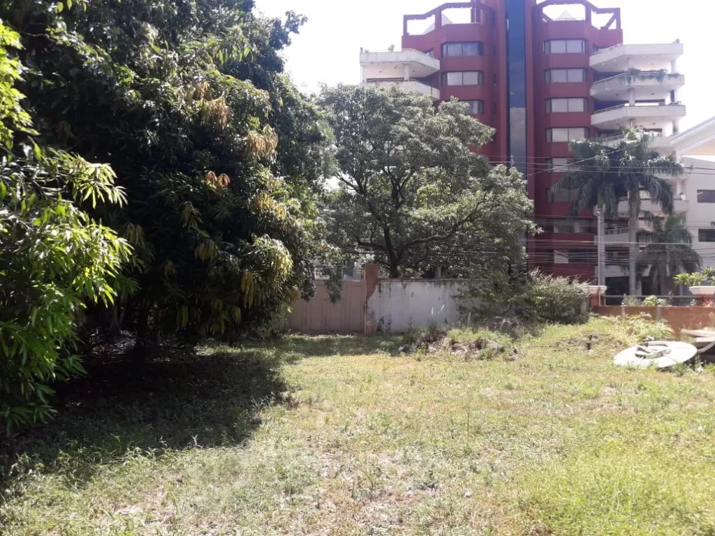 Vendo terreno sobre Gral Santos, zona Col. San Andres 20 x 3 — foto 3