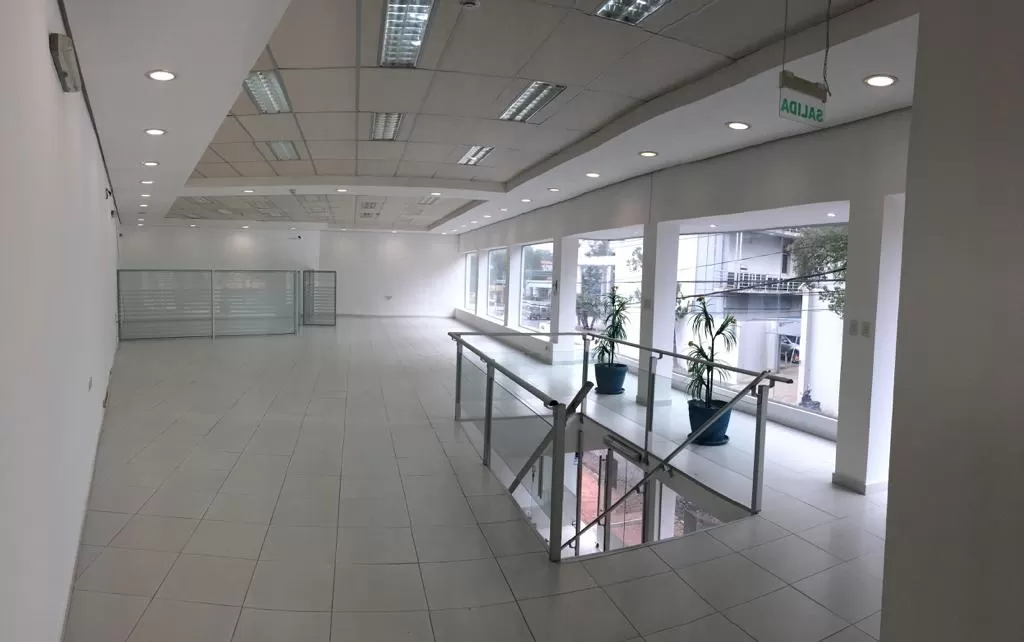 Local comercial con frente totalmente de vidrio — foto 3