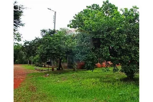 VENDO HERMOSO TERRENO EN LUQUE. — foto 2