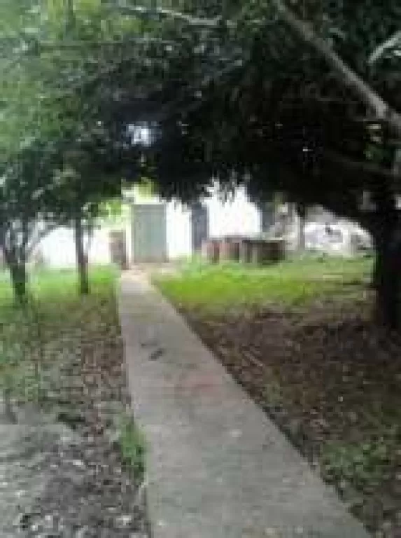 VENDO TINGLADO — foto 2