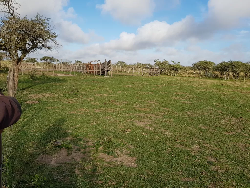Vendo Campo de 127 Hectáreas!!! — foto 2
