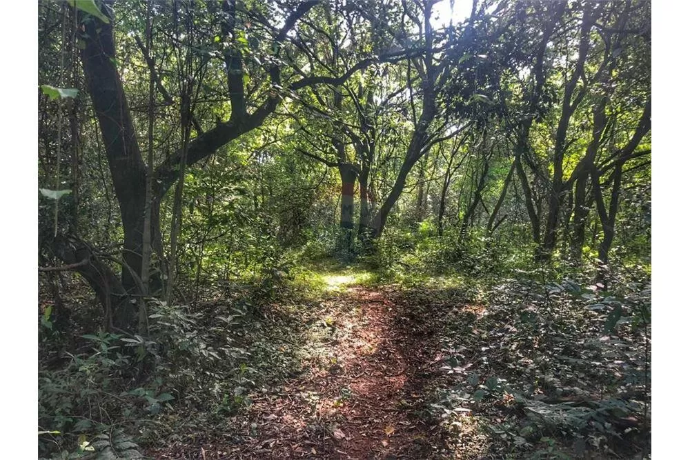 VENDO 3 HECTAREAS EN ENCARNACION A 3 MIN DE LA COSTANERA — foto 3